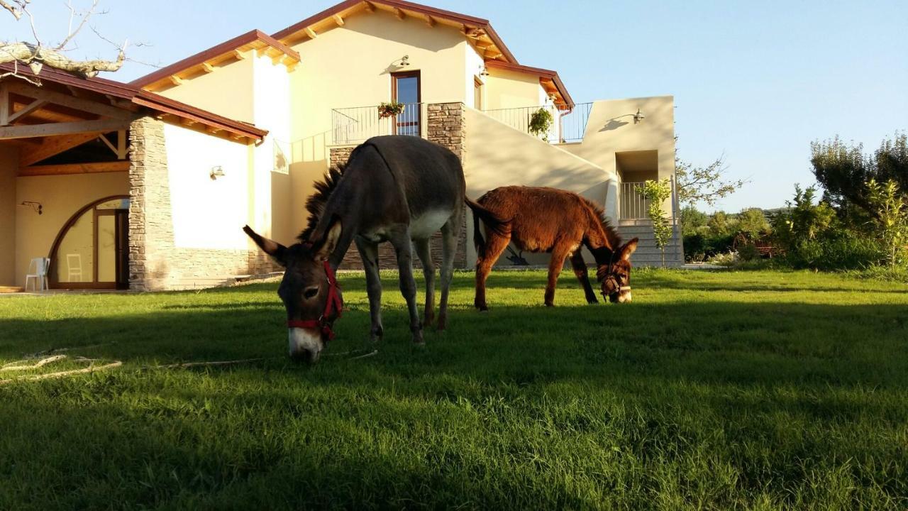 Agriturismo Frantoio Mafrica Limbadi Exterior foto